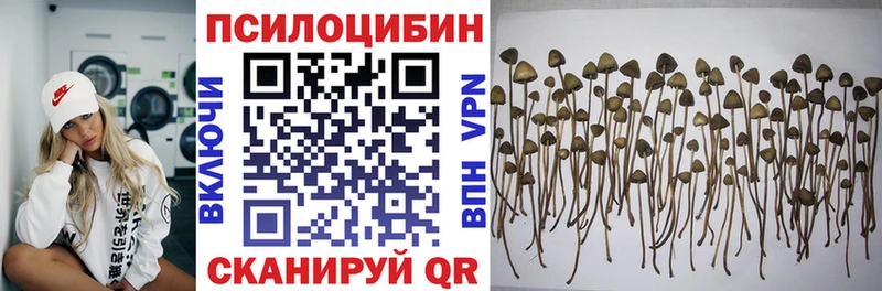 Галлюциногенные грибы мицелий  Волжский 